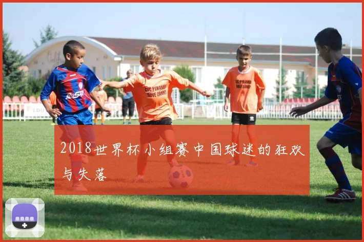 2018世界杯小组赛中国球迷的狂欢与失落