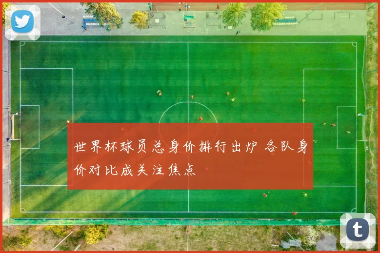 世界杯球员总身价排行出炉 各队身价对比成关注焦点