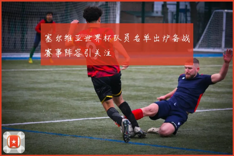 塞尔维亚世界杯队员名单出炉备战赛事阵容引关注