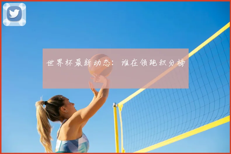 世界杯最新动态：谁在领跑积分榜