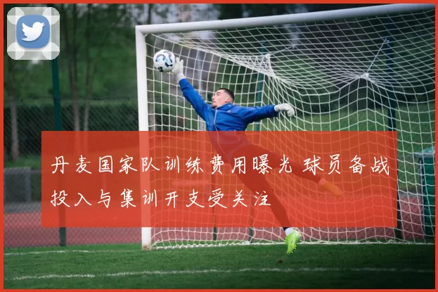 丹麦国家队训练费用曝光 球员备战投入与集训开支受关注